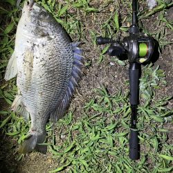 アーバンチニング①