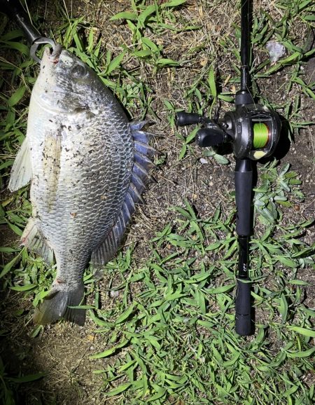 アーバンチニング①