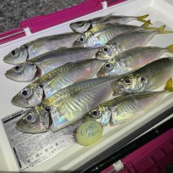 フロートアジング行ってきました