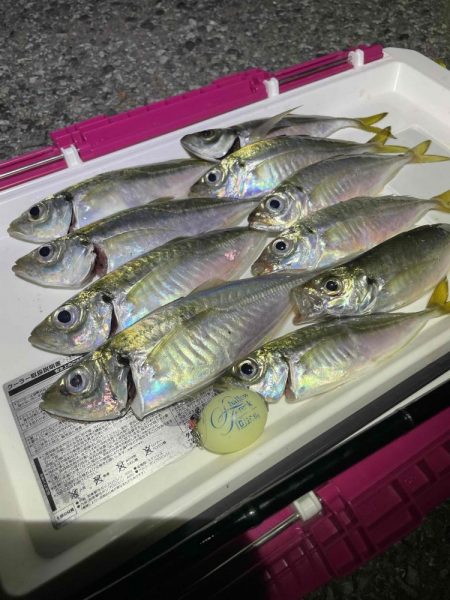 フロートアジング行ってきました