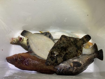 えりも岬で五目吊り！あの魚が釣れる！？