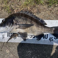 イチノ兄弟、釣果！