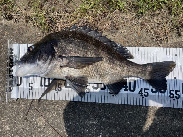 イチノ兄弟、釣果！