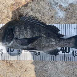 イチノ兄弟、釣果！