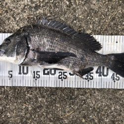 イチノ兄弟、釣果！