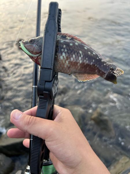 フロートアジング