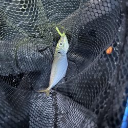 フロートアジング