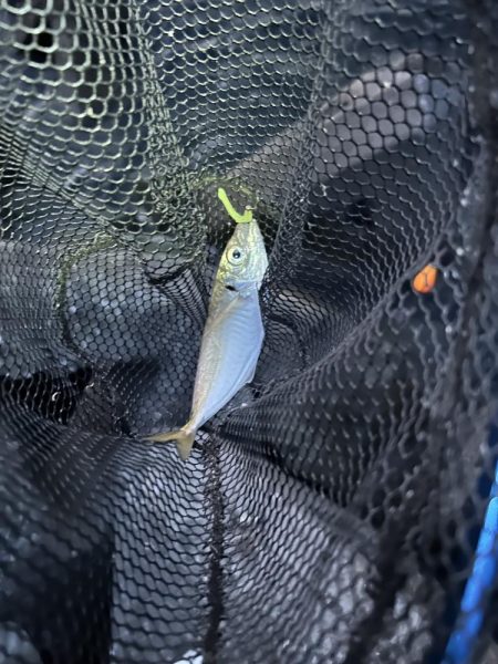 フロートアジング