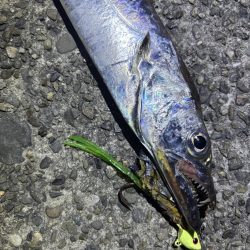 久しぶりの釣行