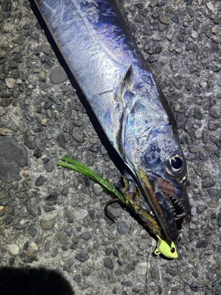 久しぶりの釣行