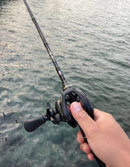 マゴチは裏切らない…