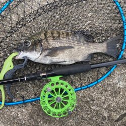 またもや最後に！