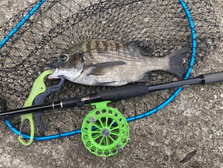 またもや最後に！