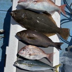 落とし込みリベンジマッチ　五目達成　きしゅう丸