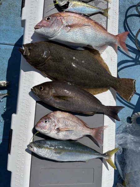 落とし込みリベンジマッチ　五目達成　きしゅ…