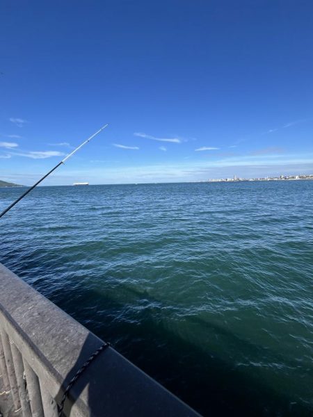 まだまだ豆アジ回遊中