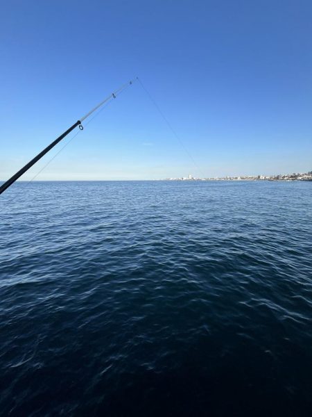 久しぶりイカサマー