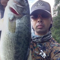 数釣りの日でした