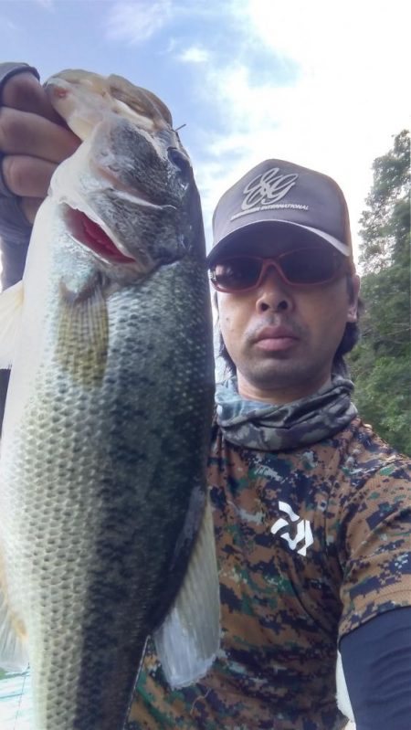 数釣りの日でした