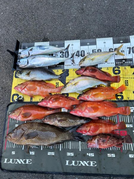 サップフィッシングSLJ