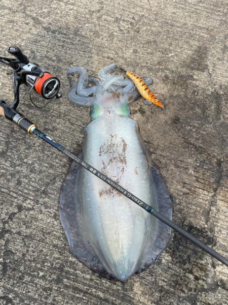 久しぶりの投稿!