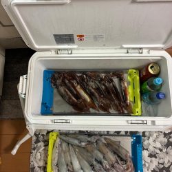 初イカメタル！