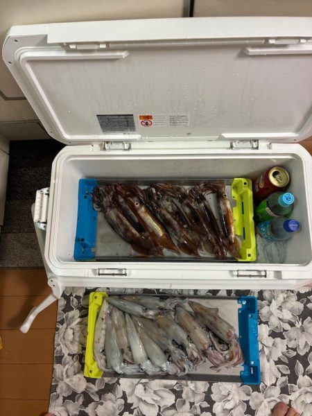 初イカメタル！