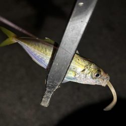 豆しか居ない〜笑笑