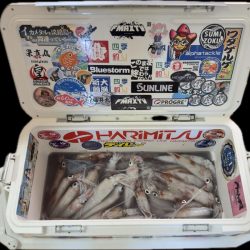 ケンサキイカ/オモリグ・イカメタル