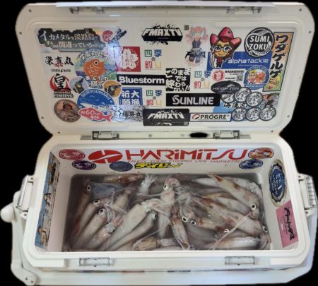 ケンサキイカ/オモリグ・イカメタル