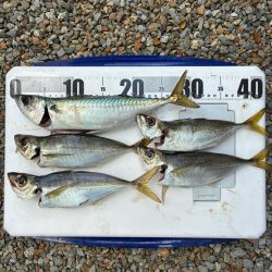 久しぶりの船釣り！