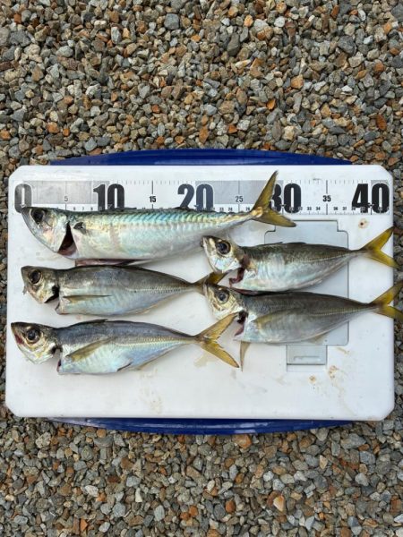 久しぶりの船釣り！