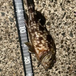 ライトワインド