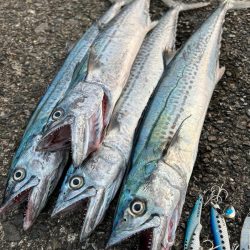 ショアジギング