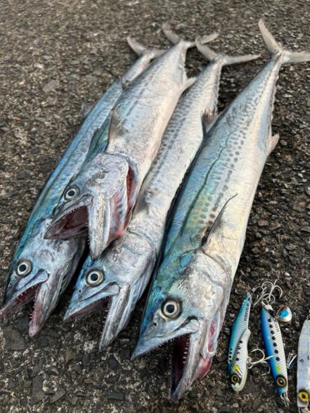 ショアジギング