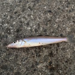 キスならたくさん