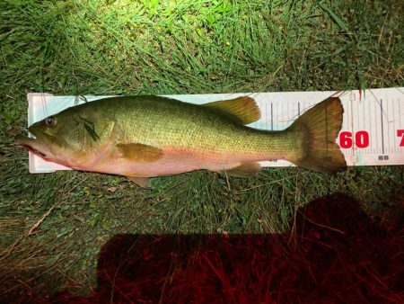 ロングワームでグッドサイズ！