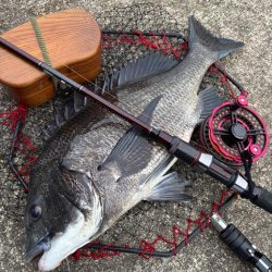 ヘチってきました