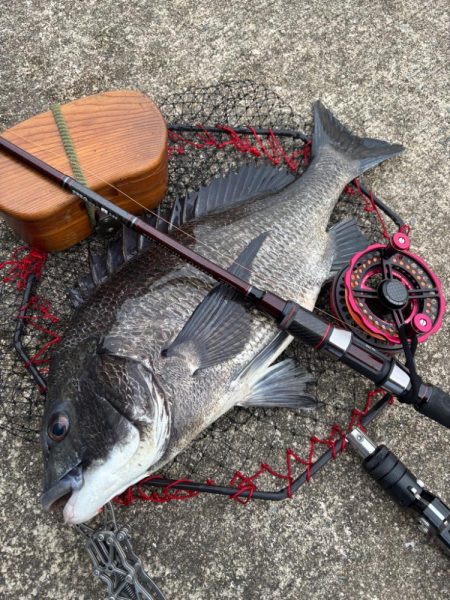 ヘチってきました