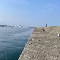 今年初タコ釣り