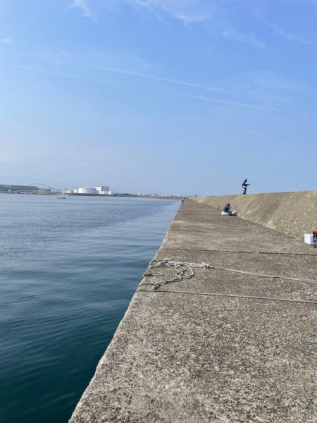 今年初タコ釣り