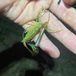 淀川ブリームゲーム