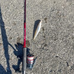 今日も行ってきました！