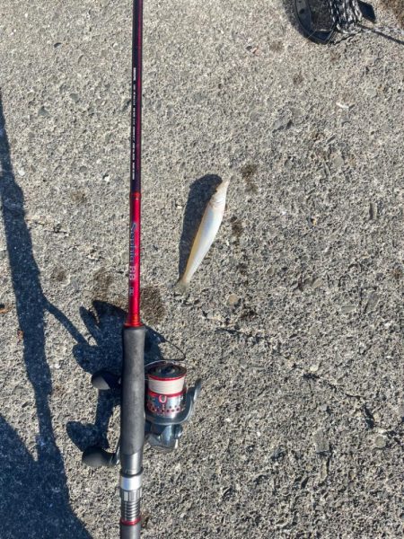 今日も行ってきました！