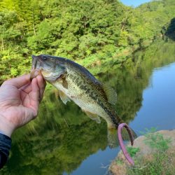 久しぶりの布目ダム