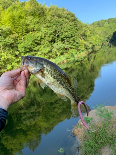 久しぶりの布目ダム