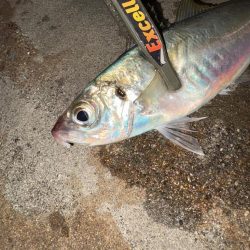 フロートアジング