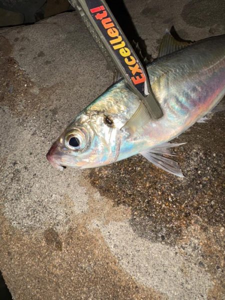 フロートアジング