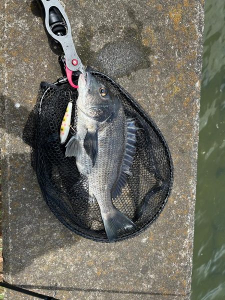 トップチニング