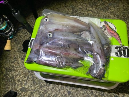 マイカ絶好調！